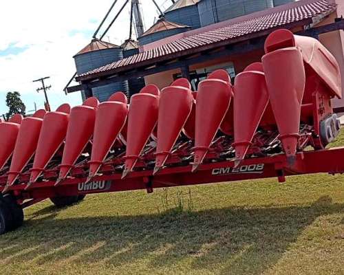 Maicero Ombu 2008 13/52