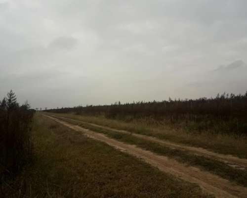 Campo Ganadero Proximo Chilibroste