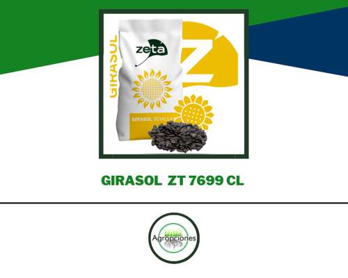 Semilla de Girasol ZT 7699 CL