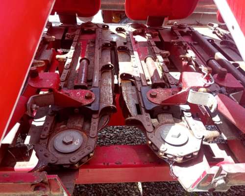 Maicero Ombu 13 a 52 año 2018