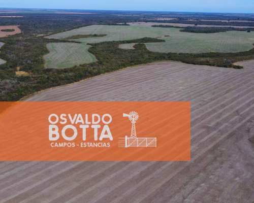 Campo Mixto en Venta 1740has San Jose de Feliciano, ER