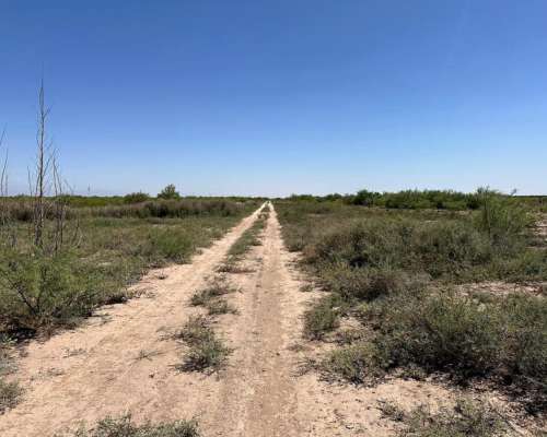 Finca Campo de 22ha en Jocolí, Mendoza.