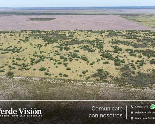 1007 Has en Venta - Pcia del Chaco, Venados Grandes