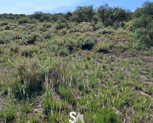 Vende: Campo Mixto de 681 Hectáreas en Naicó, la Pampa