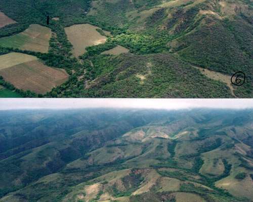 Campo Mixto – Singuil Inversión, Turismo, Desarrollos