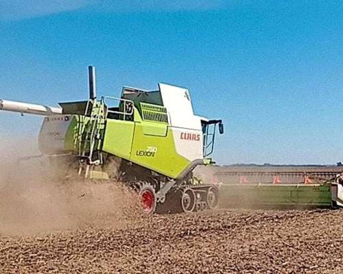 Claas Lexion 750 Orugas. Plat 40 Pies. M7900. R5600. Reparad