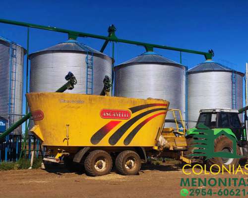 Planta Automática de Silos con Sinfines-colonias Menonitas