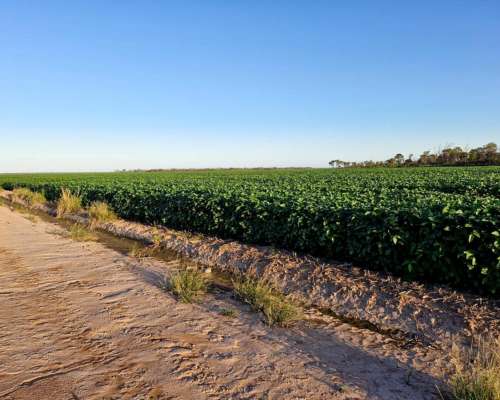 Excepcional Estancia Agrícola 3580 HA. Premium en Quimili
