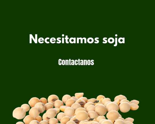 Compro Soja: Contactanos para MÁS Información