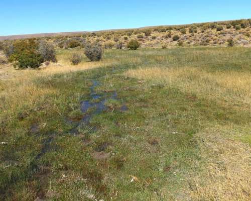 Estancia en Rio Mayo. 7345 HA. Chubut