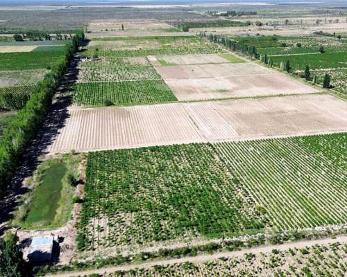 Finca de 120 Ha con Doble Frente Sobre Ruta 7, las Catitas
