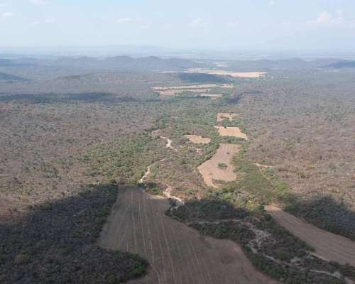 Pcia. de Salta - el Bordo 6190 Has