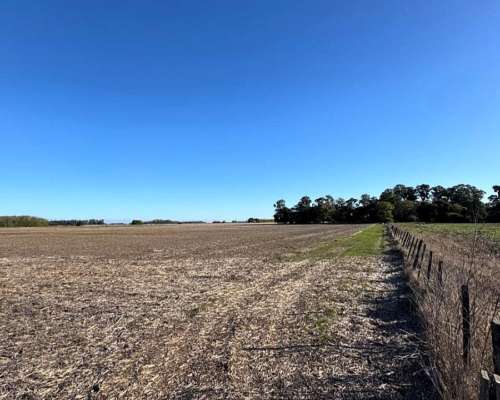 Campo Agrícola Sobre Autopista 9
