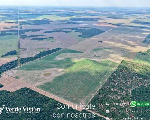105 Has en Venta - Pcia del Chaco, Campo Largo