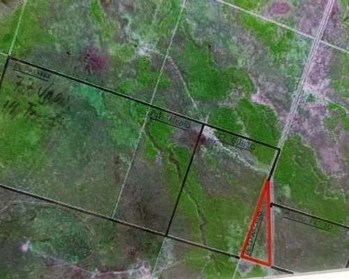 Campo Ganadero 1470 Has Pcia de la Plaza Chaco