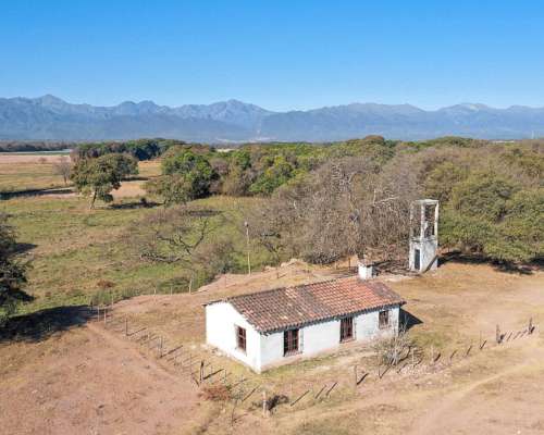 Pcia. de Salta - el Carril 52 Has