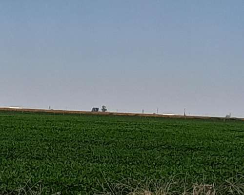 Vdo 283 Has Agrícola Cerca de Ruta 205 a Bolivar Soja- Maiz