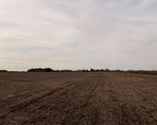 Campo 41hac Agricola Rueda Santa FE