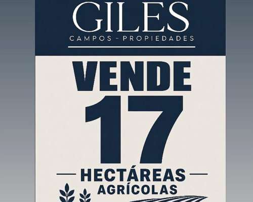 Campo Agrícola 17 Hectáreas San Pedro