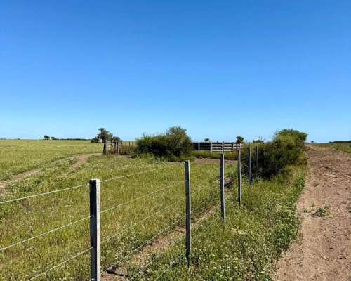 2431 Has Secano en Venta Patagones