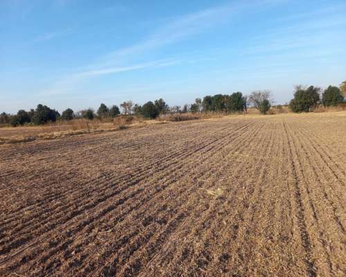 Oportunidad de Inversion. Campo Agricola