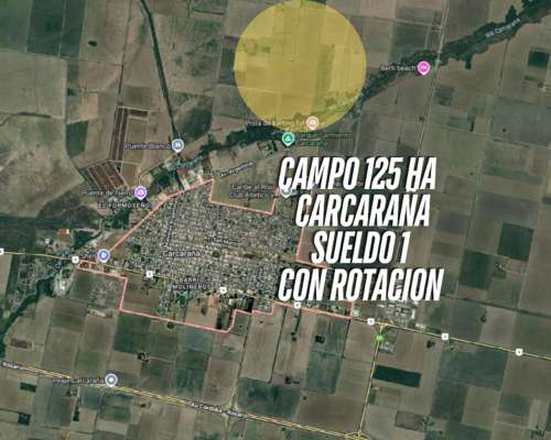 Campo Agricola en Venta de 125 Ha en Carcarañá