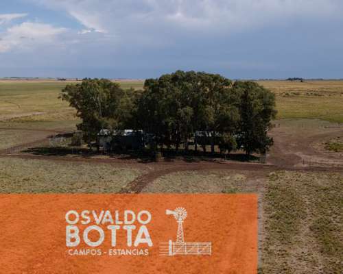 Campo Ganadero en Venta 406has Villa Iris, Buenos Aires.