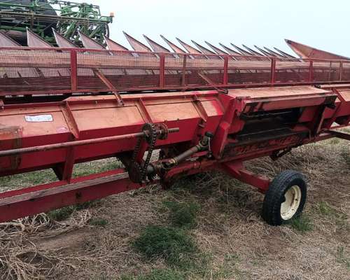 Girasolero Mainero de 10 a 70 CM.