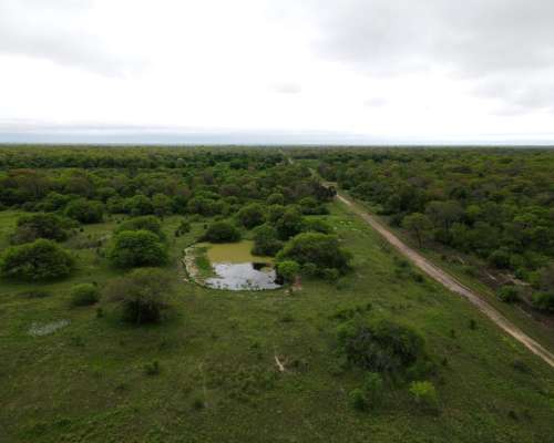 Ch0005 Campo en Presidencia de la Plaza, Chaco.
