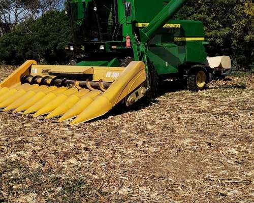 Maicero Ombu 10/52 2005