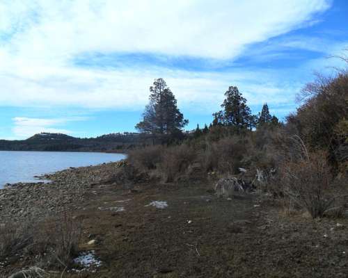 Campo Agreste con Costa del Lago Lezama-cholila-chubut