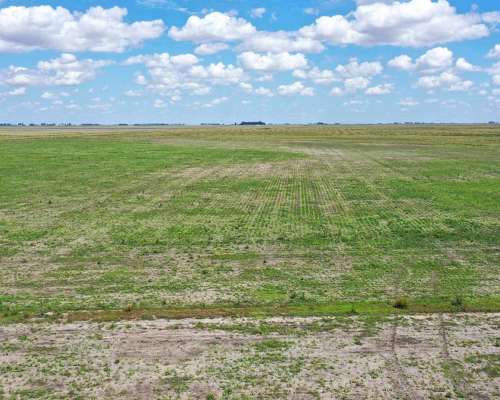 Pcia. de Buenos Aires - Cañada Seca 844 Has