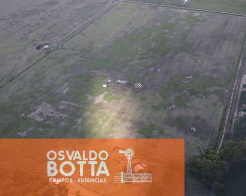 Campo Agricola en Venta 32 Has en Suipacha, Buenos Aires