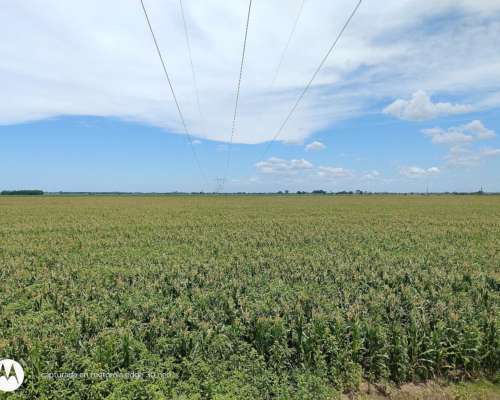60 Agricolas Sobre Autopista Rosario