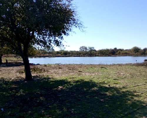 Vendo Campo 23 Has Vera Santa FE Sobre Ruta 3 (toba)