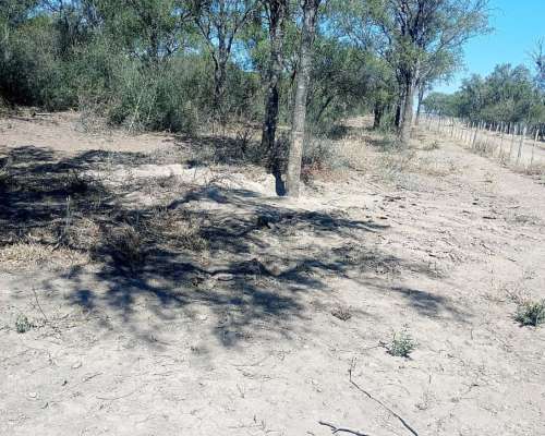 Recibo Propiedades por Campo
