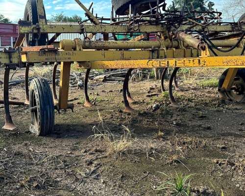 Cincel Celeba 11 Puas