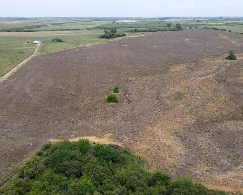 115 Hectáreas Agrícolas Sobre Ruta, Caseros Entre Ríos.