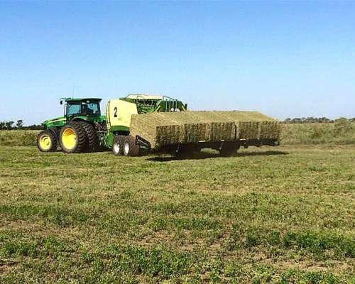 Carro Acumulador de Alfalfa Marca Parkland Modelo 455