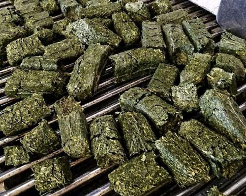 Cubos de Alfalfa - Lasna Insumos - MÍN 28 TN