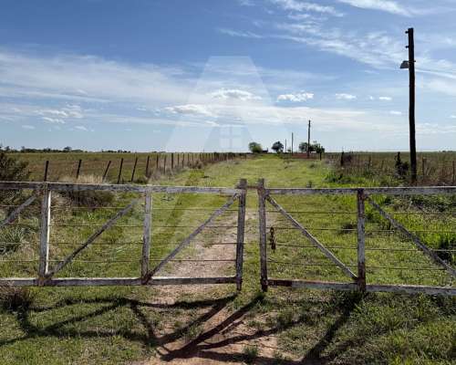 🌾 Campo en Alquiler/venta – Río Cuarto (córdoba)