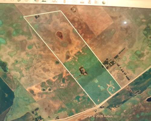 Vdo 150 Has Soja Maíz en Rotación 6.000 DOL X Ha en BS AS