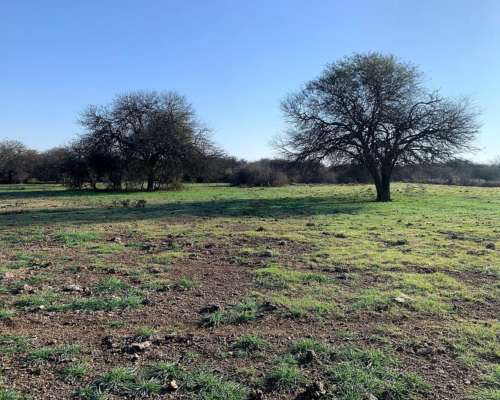 Campo a la Venta Ambrosetti - Dpto San Cristóbal - Santa FE