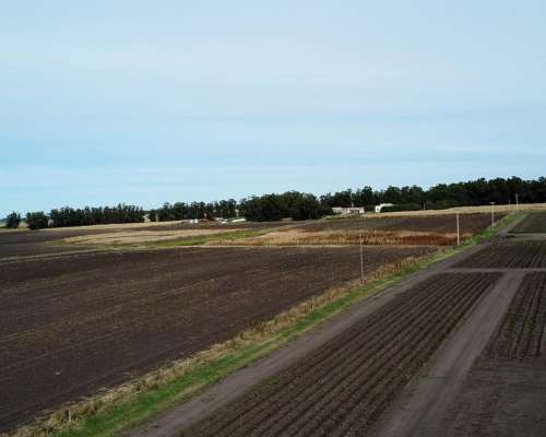 107 Has o 77 y 1/2 en Miramar - de Lujo -