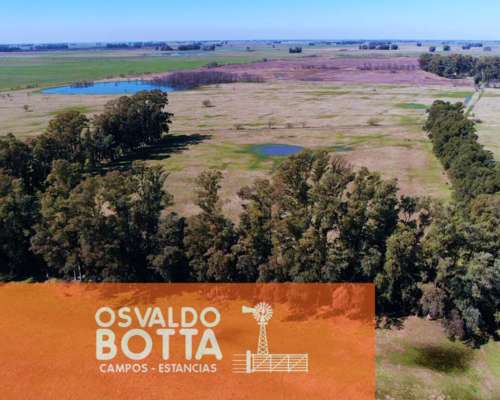 Campo en Venta 393has Mercedes, Buenos Aires
