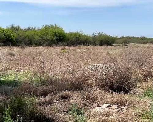 Vendo/permuto Campo 60 Has. a 15 km de Tilisarao.