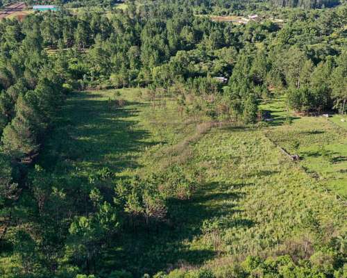 Se Vende Chacra de 1.5 Ha con Arroyo