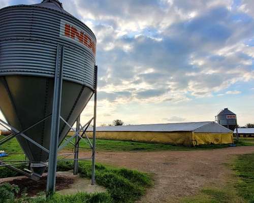 Granja en Venta Sobre la Ruta