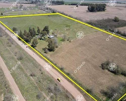 Chacra en Venta de 15 Has en Gral. Belgrano. Agricola