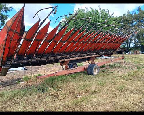 Girasolero Mainero 1035 de 28 PIE